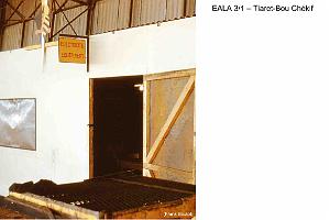 196- ARMEE DE L'AIR EN ALGERIE 1945-1962-44 (71)